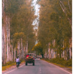 bihar road